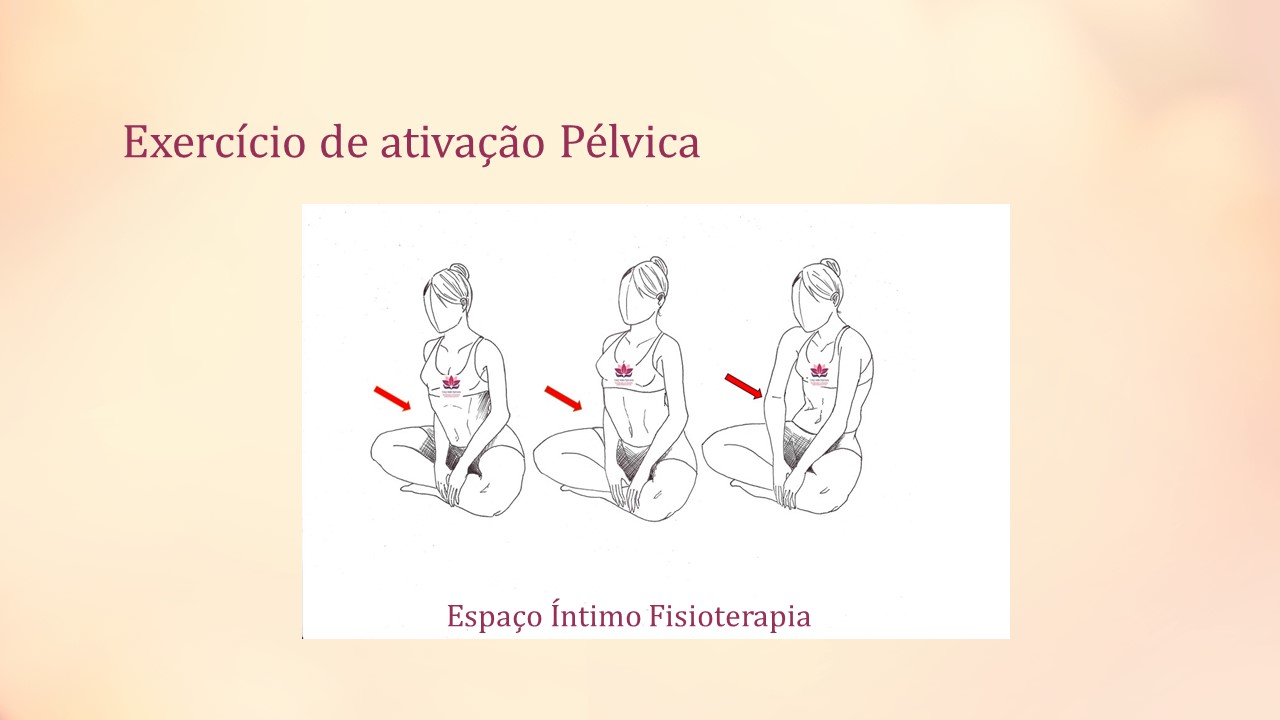 Exercícios Pélvicos Espaço Íntimo Fisioterapia